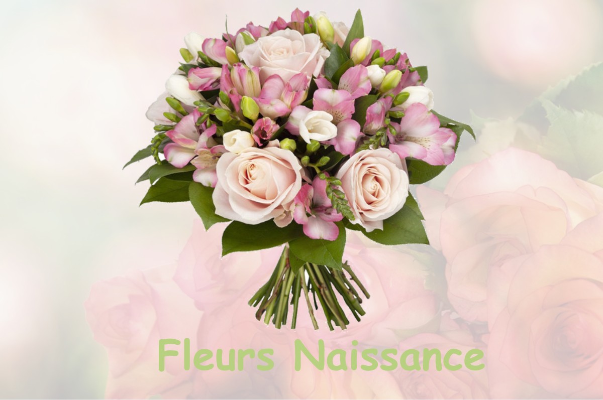 fleurs naissance SAINT-MARCEL-BEL-ACCUEIL