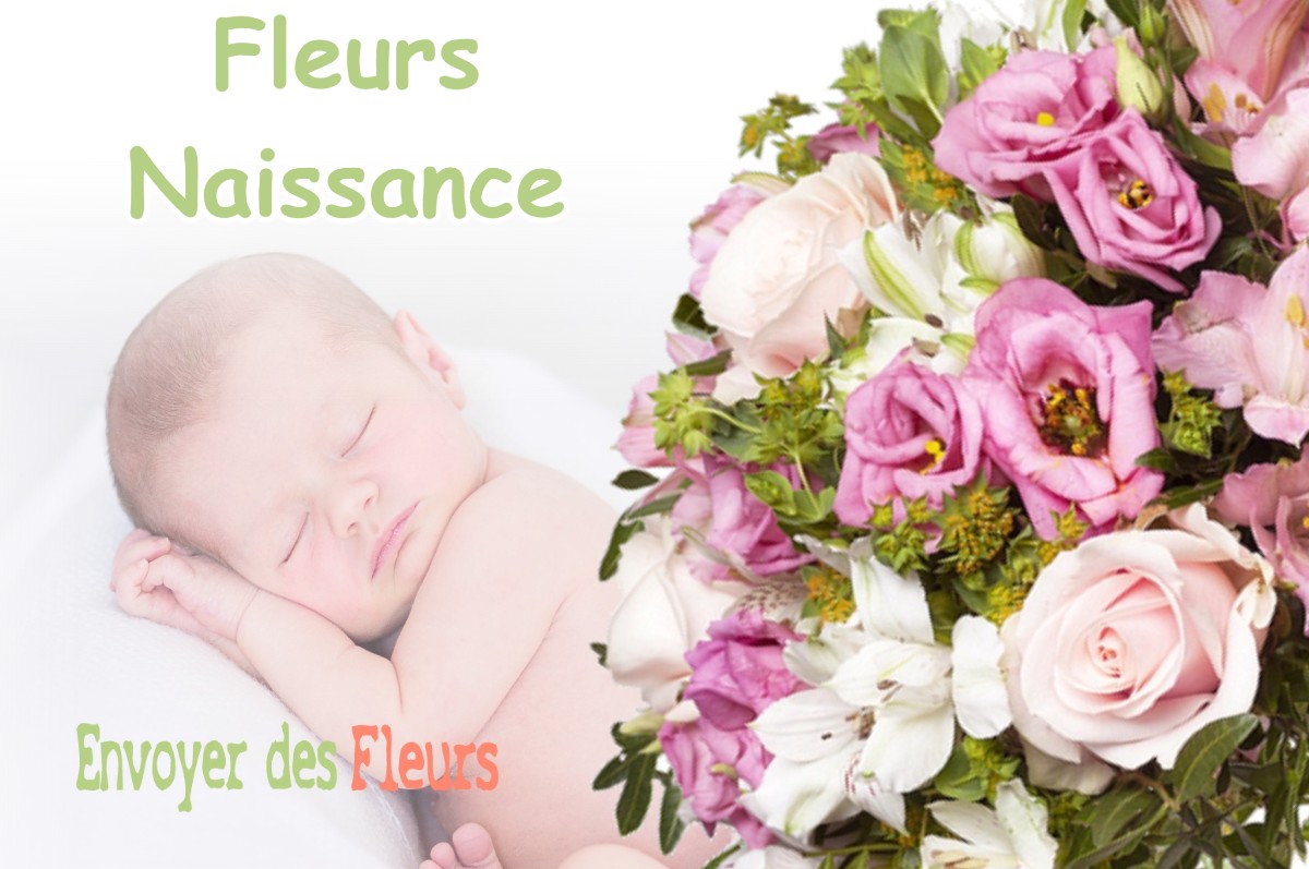 lIVRAISON FLEURS NAISSANCE à SAINT-MARCEL-BEL-ACCUEIL